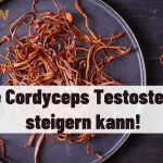 Cordyceps Testosteron